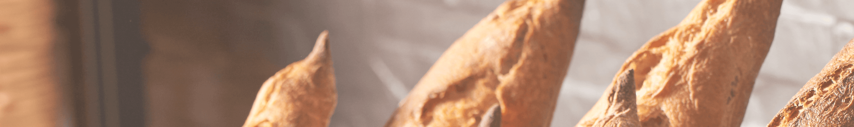 Techno Pek Servis - O nama